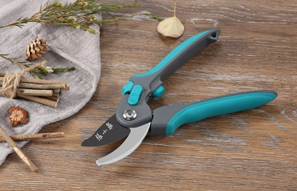 Trimming with Precision: The Garden Cutting Scissors for Pruning Success